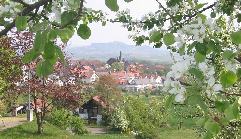 Kopfbild 1 von 5