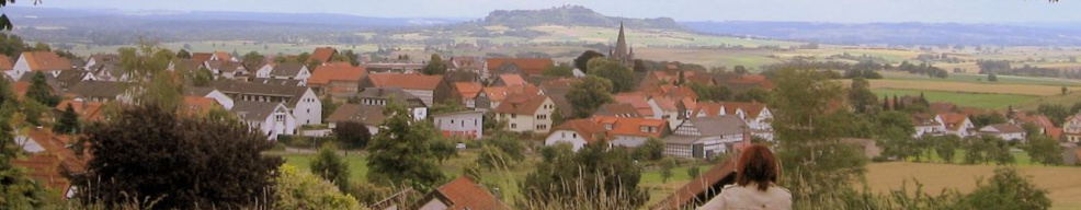 Bauerbach im Panorama